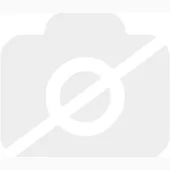 AOpen QH31s