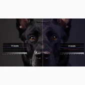 BenQ V5000i
