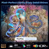 JMGO PicoPlay